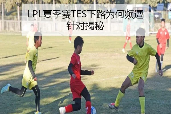 LPL夏季赛TES下路为何频遭针对揭秘
